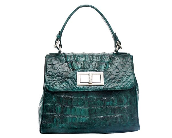 NEEMA_BAG_IN_FULL_CROC_21_1